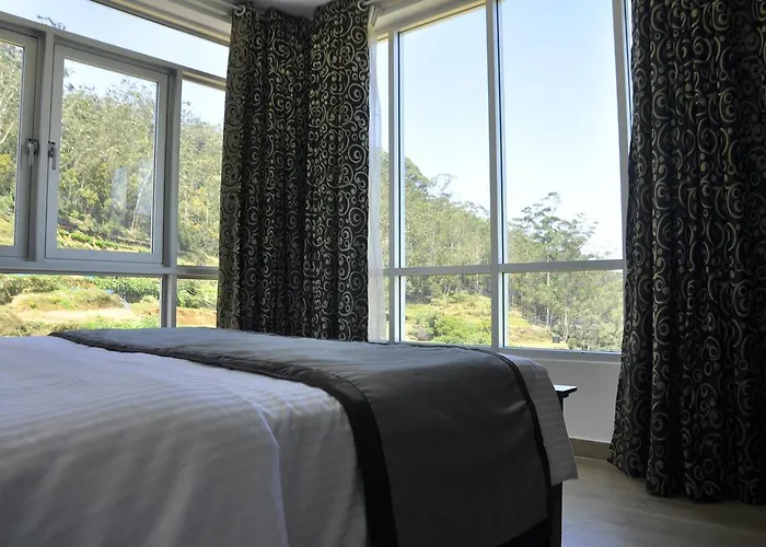 Forest View Lodge